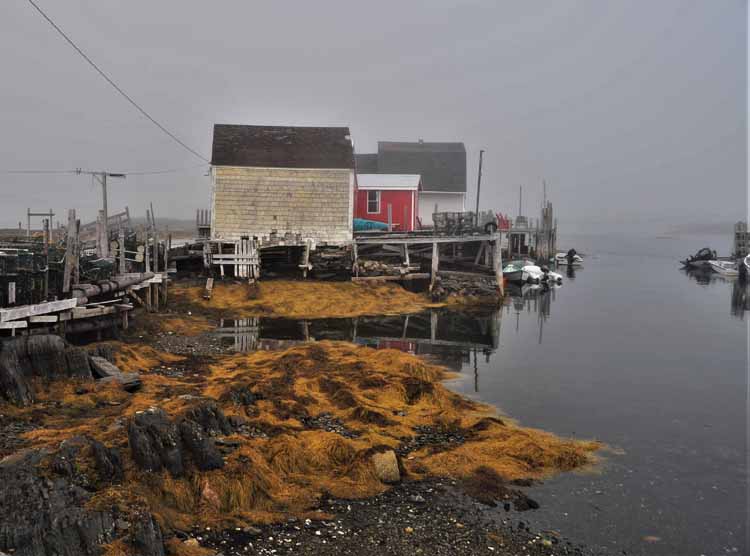 shacks on water